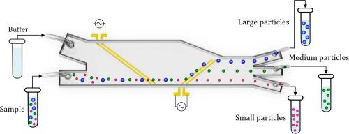 High-purity DEP-based multitarget separation of particles in a converging microchannel