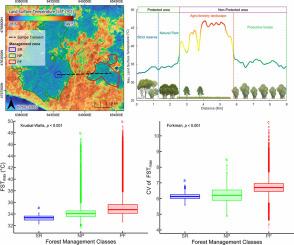 Mediterranean strictly protected forests are cooler