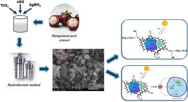 Green biogenic synthesis of Ag-loaded TiO2/rGO nanocomposite and its prospective applications in antibacterial and self-cleaning surface coating