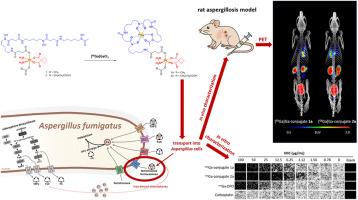 Repurposing carboplatin-based Pt(IV)-deferoxamine conjugates for infection theranostics