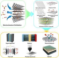 A comprehensive review of electrochemical exfoliation of graphite for tunable graphene architecture: Mechanistic insights, design principles, functional derivatives, and emerging applications