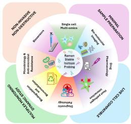 Raman stable isotope probing (SIP): A novel bio-analytical tool