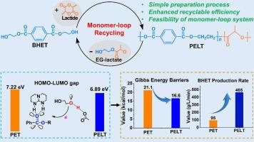 Efficient monomer-loop recycling of PELT copolyesters: Interplay of theoretical and experimental approaches