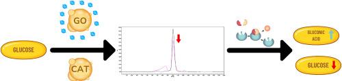 Quantitative assessment of oxidoreductase and catalase enzymatic activity in model systems for catalyzed degradation of glucose and hydrogen peroxide