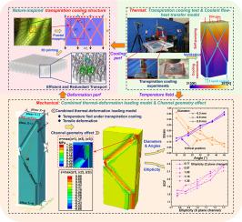 Heat transfer and deformation mechanisms of a nature-inspired transpiration cooling system for deformable aircraft