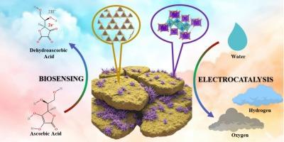 Novel CoV₂O₆/g-C₃N₄ nanocomposite for efficient bifunctional electrocatalysis and high-performance electrochemical biosensing