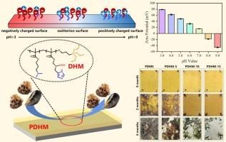 Antifouling behaviour of pH responsive amphiphilic smart coatings on the basis of charge conversion in the marine environments