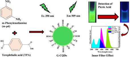 Mechanistic elucidation of novel carbon quantum dots with high selectivity and sensitivity for picric acid detection