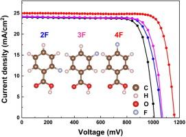 Effects of molecular conformation on buried interface passivation and efficient perovskite solar cell realization employing fluorine substituted benzoic acid