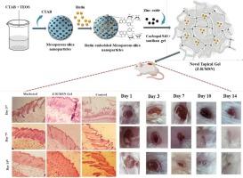 Rutin/ZnO/mesoporous Silica-based Nano-hydrogel accelerated topical wound healing in albino mice via potential synergistic bioactive response