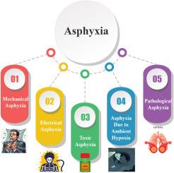 Fatal mechanical asphyxia: a comprehensive forensic review with an illustrative case