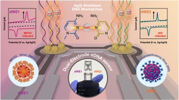 Dual electrochemical DNA sensor utilizing Ag(I)-Stabilized DNA mismatches for simultaneous, label-free detection of mpox and HIV