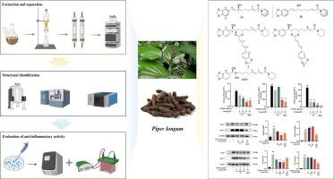 Four new piperidine amide alkaloids from Piper longum fruits and their anti-inflammatory activities
