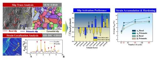 Comparative study of slip activities and strain distribution in Ti6321 alloy with bimodal microstructure under dwell fatigue loadings