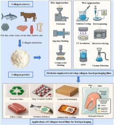 Development and innovations in collagen-based packaging for enhancing food safety and shelf life