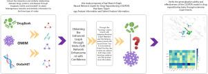 Cross-scale semantic fusion integration of dual pathway models in drug repositioning
