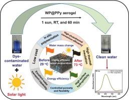 Tunable polypyrrole-coated cellulose aerogel via in situ polymerization for high-performance solar-powered water purification: Effects of porosity, photothermal conversion, and long-term stability