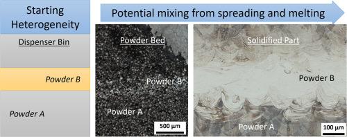 Understanding the effects of metal powder feedstock heterogeneity on the laser powder bed fusion process