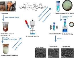 Preparation and characterisation of water dispersible cellulose nanocrystals (CNC) dry powder from potato waste pulp of the potato starch industry: effect of drying method