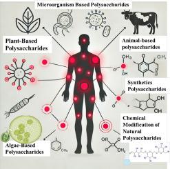 Therapeutic potential of polysaccharides in inflammation: current insights and future directions