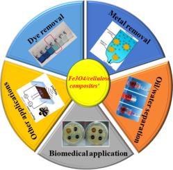 Recent progresses in the development of magnetic Fe3O4 nanoparticles supported cellulose-based composites: A review