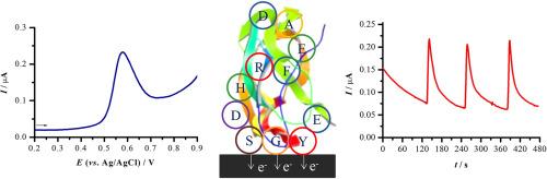 Electroanalysis of proteins and peptides via amino acid residues