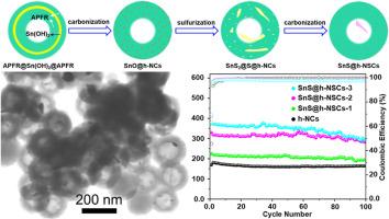 Sandwich confinement engineering of tin sulfide in nitrogen/sulfur-co-doped hollow carbon spheres for efficient sodium storage