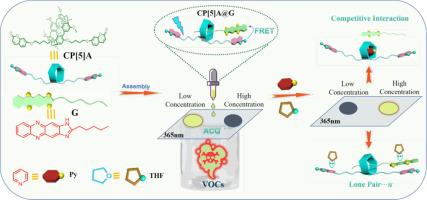 Self-assembly of Pillar[5]arene and phenazine enables FRET-based VOCs detection