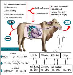 A meta-analysis of feeding strategies for dairy cattle performance and greenhouse gas mitigation across the world