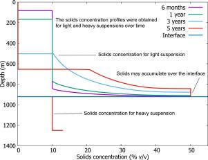 Continuum model for the numerical simulation of the sedimentation process of two immiscible non-Newtonian suspensions confined in an annulus