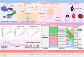 Unravelling the crucial aging signatures linking cadmium exposure with the risk of frailty and mortality: DNA methylation aging clocks, biological aging indicators, or telomere length?