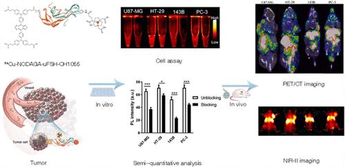 Development of a Dual-Modal PET/NIR-II Probe of Urofollitropin for Enhanced Follicle-Stimulating Hormone Receptor-Targeted Imaging in Diverse Tumors