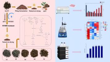 High temperature and high humidity (HTHH) alter flavor properties of Pu-erh tea associated with burnt aroma emergence