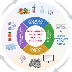 In silico and molecular docking approaches in food-derived bioactive peptide discovery: Trends, challenges, and prospects