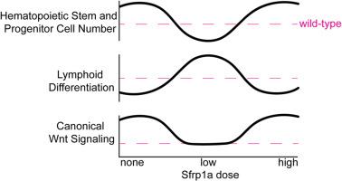 Secreted frizzled-related protein 1a regulates hematopoietic development in a dose-dependent manner