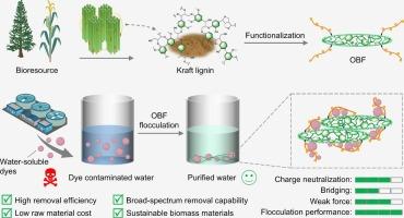 Efficient dye-containing wastewater treatment: a more effective flocculant structure and flocculation mechanism