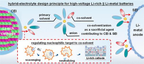 Regulating Interfacial Nucleophilic Chemistry via Hybrid Electrolyte Enables Stable 4.8 V-Class Li-Rich||Li-Metal Batteries