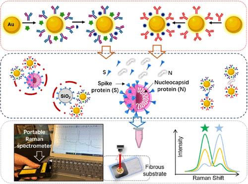Plasmonic Nanoprobe-Enabled SERS Detection of SARS-CoV-2 Proteins and Virus Samples on Wax-Printed Paper Substrates