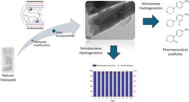 Organo-modified halloysite nanotubes as supports for gold nanoparticles as highly recyclable catalyst for hydrogenation of nitroarenes