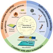 Research advances in SERS-based sensing platforms for multiplex mycotoxin detection in feed