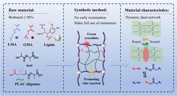 One-pot synthesis of lignin-derived fully bio-based dynamic dual-network polymers via synergistic side reactions and star-shaped architectural design