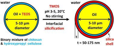 Sustainable silica microcapsules