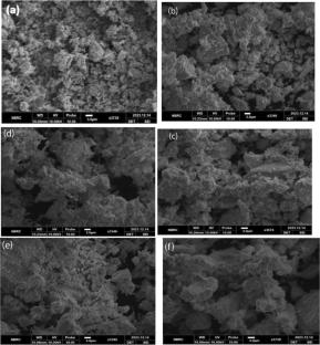 Realization of High Figure of Merit in Fe/Ni co-Doped SnO2 Nanoparticles by the Engineering of Charge and Phonon Transport
