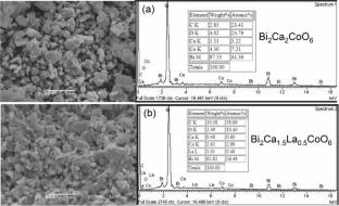 Correlation of Structure and Transport Properties of Bi2Ca2−xLaxCoO6 Nanoparticles Synthesized by Coprecipitation Method