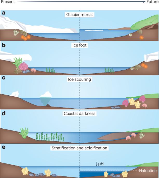 Emerging risks along Arctic coastlines