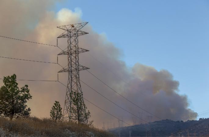 Cost-effective adaptation of electric grids