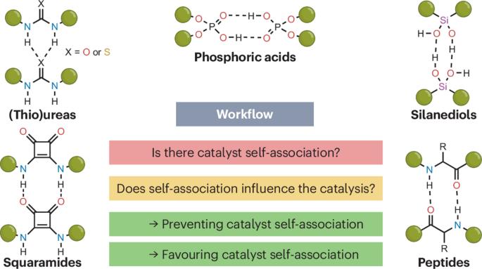 The impact of supramolecular self-association of organocatalysts on catalytic performance
