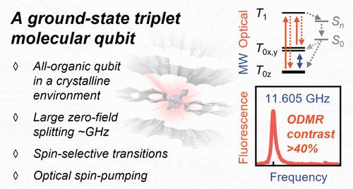 Optically Detected Magnetic Resonance on Carbene Molecular Qubits