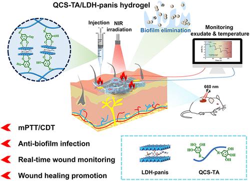 Dynamic Metal-Phenolic Coordinated Hydrogel for Synergistic Photothermal/Chemodynamic Therapy against Biofilm-Infected Wounds and Real-Time Monitoring