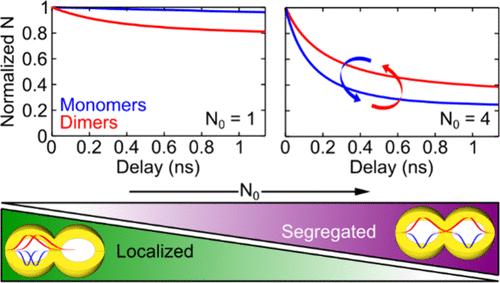 Charged- and Multi-Exciton Dynamics in Colloidal Quantum Dot Molecules